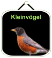 maincam kleinvoegel